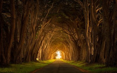 Light At The End Of The Tunnel