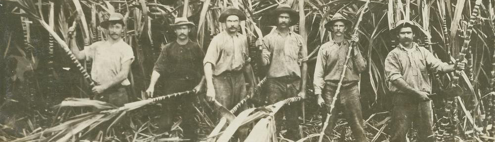 Great Australian Novel